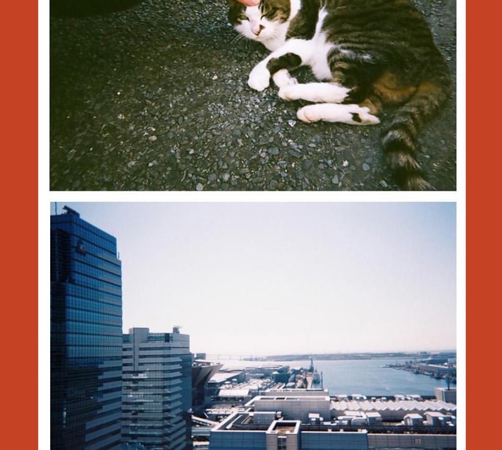 b0bc7467-bdb2-4d22-ac62-5ba589afe43e.jpe