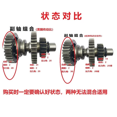 Shaft Combination P013000222600200 – Transmission gear and shaft