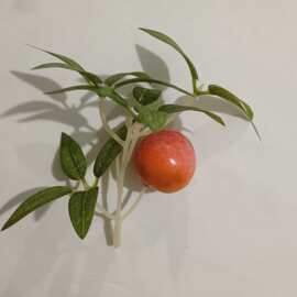 工厂直发 11厘米*11厘米仿真绿植广元冰糖杨