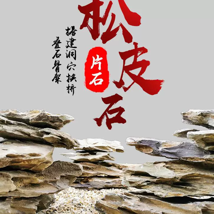 Сосновый камень ландшафта маленький кусочек каменной черепахи