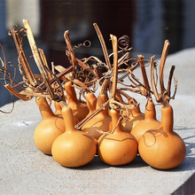 ��Ȼ�����������J��������С���J���^���цζǺ��Jֱ�N