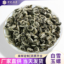横县厂家直销浓香型白雪玉螺500g散装花茶特级茉莉花茶雪螺批发