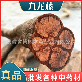 ��������ș�� �^���� ����� ���ľ� ÷����ǵ����N�䱳����l