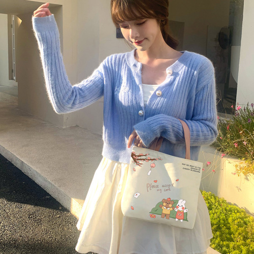 A versatile canvas bag for women, wholesale fashionable small cloth bag, summer shoulder bag, dropshipping, hand-held bag.