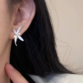 戒指;项链;耳环