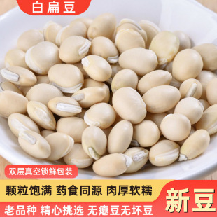 ������ϰױⶹ2024��؛�׶��ױⶹ�Ӹ�؛�s�Z����Ʒ�NС��ܿ���