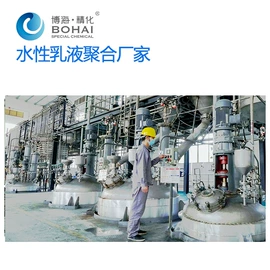 丙烯酸树脂;丙烯酸乳液;其他合成树脂