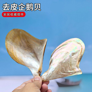 ��Ȼ��ؐ������ȥƤ���Zؐ�~���쾰�b��ĔzƯ������˱��ղ��ͶY