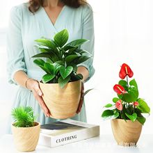 工厂直销仿木纹套装花盆多尺寸可堆叠塑料花盆桌面绿植园艺PP花盆