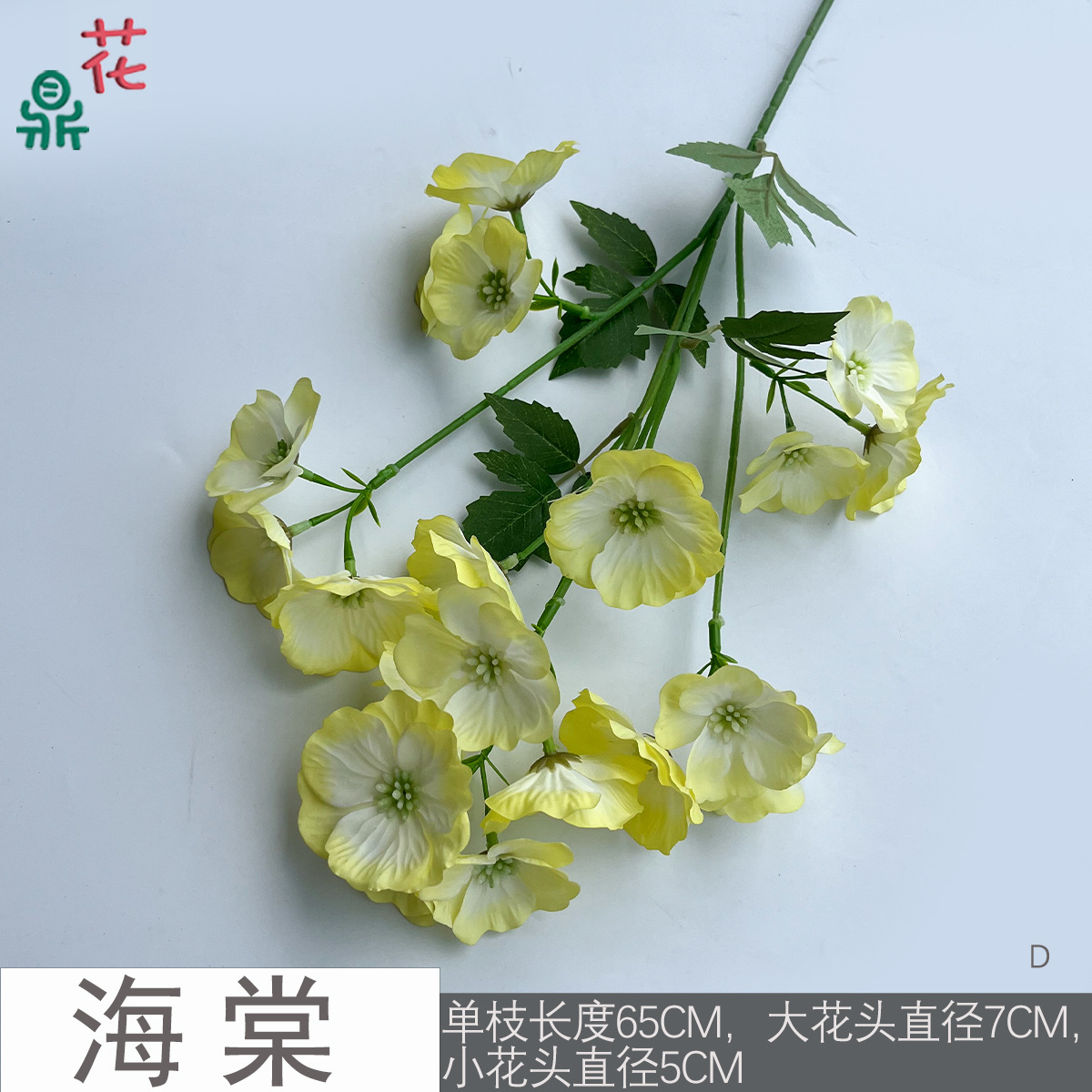 베고니아 D 옐로우