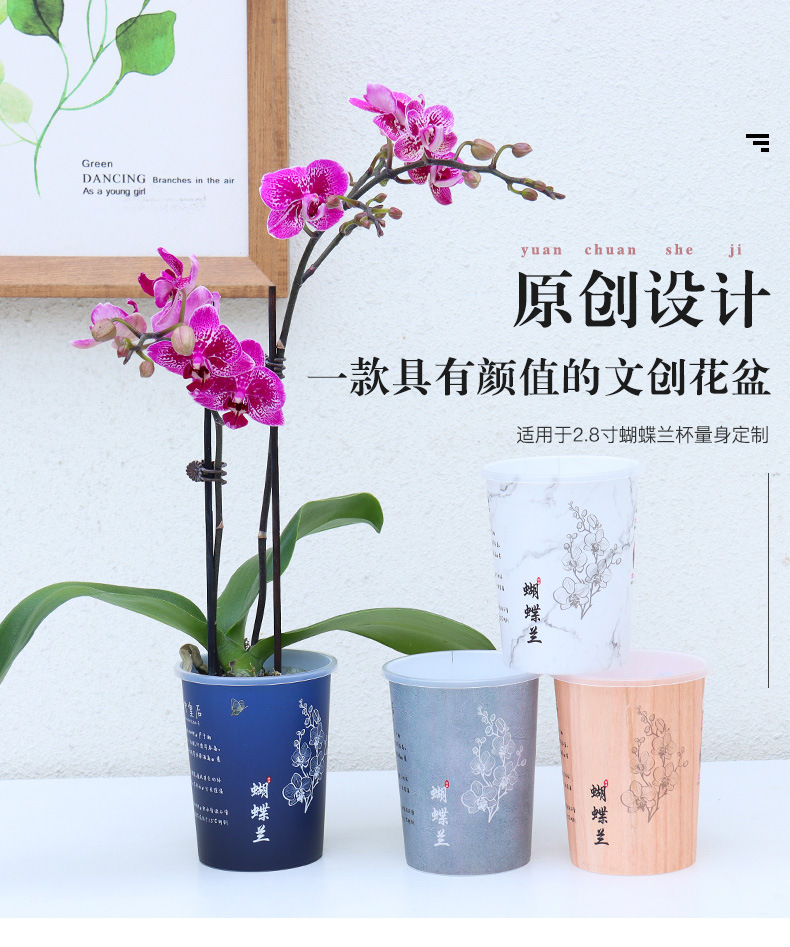 B03文创蝴蝶兰花盆系列_01.jpg