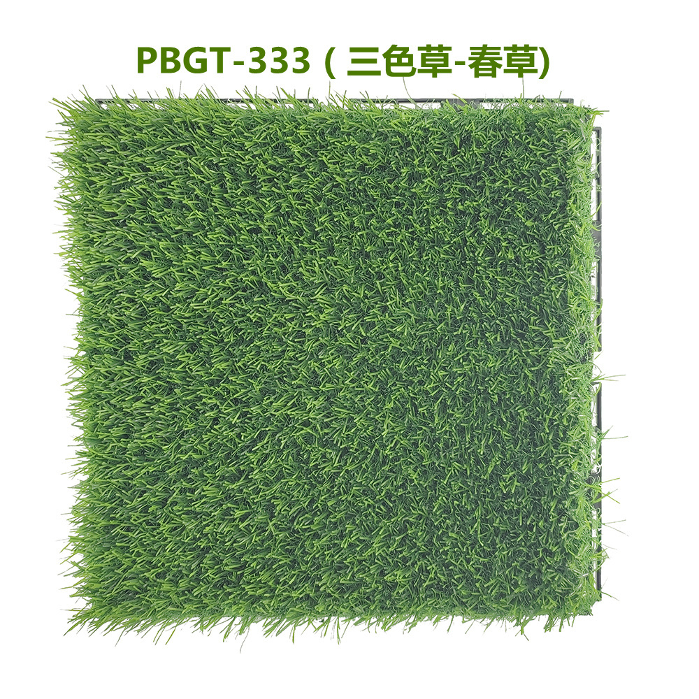 PBGT-333 三色草-春草
