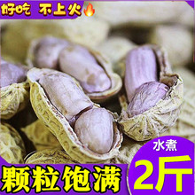 1斤】龙岩水煮花生日晒干带壳盐水咸干味五香原味蒜香蒜蓉味酥脆