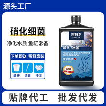 硝化细菌溶液鱼缸净水剂水质稳定剂浑浊清澈剂水族鱼用消化活菌