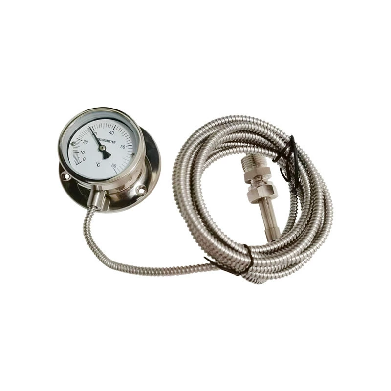 Термометр из нержавеющей стали, цельнометаллический датчик температуры, капиллярный радиальный тип с задней частью WY-60H 60. ° Продажи фабрики C