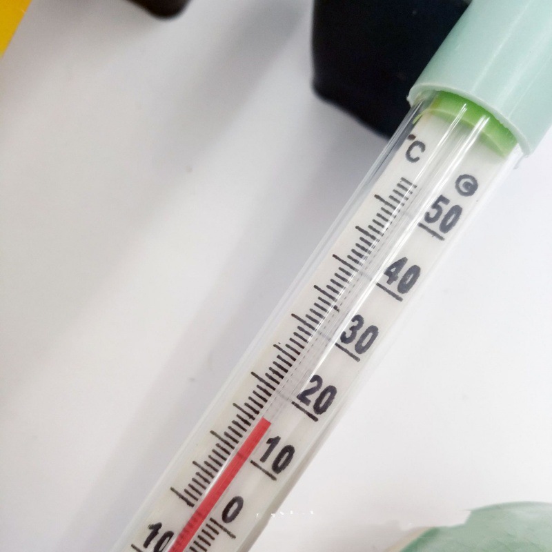 10503131882_1701806908