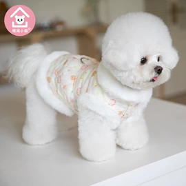 狗狗服装;狗狗牵引;猫猫服饰