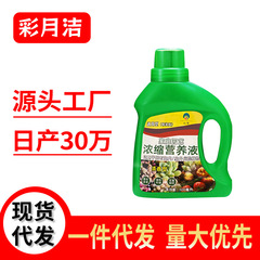 家庭用植物栄養液 花葉面肥料 緑植物肥料 濃縮タイプ 即納卸売 植物活力剤