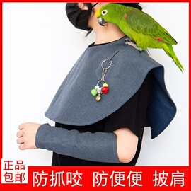 鹦鹉披肩尿不湿屎兜尿布训鸟披肩护肩防抓咬牡丹虎皮玄凤鸟用品