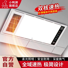 浴霸;其他厨卫大件;吸顶灯