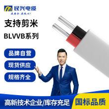  X늾BLVVBbý^ԴȼpӷϻX