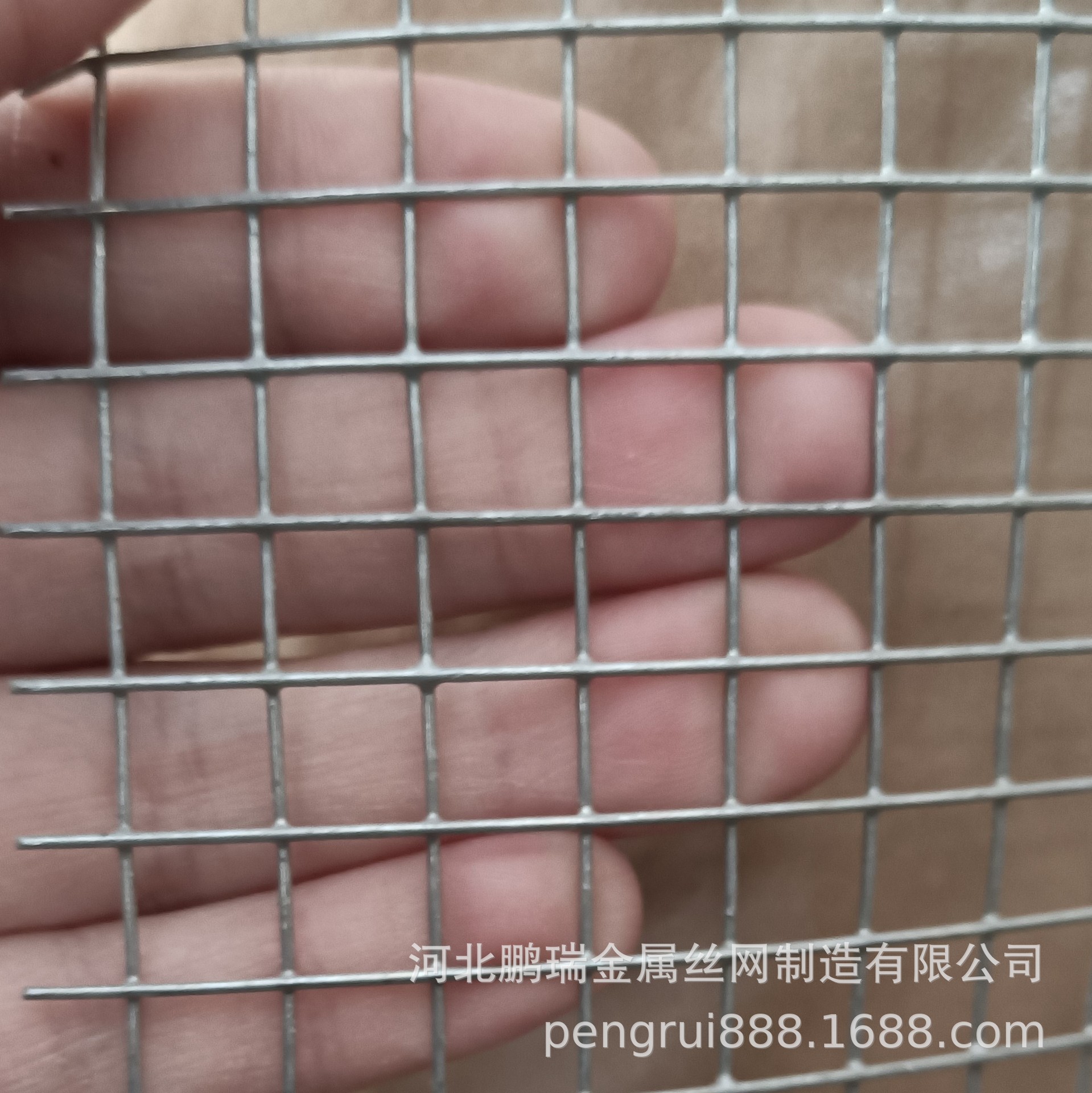 现货9.5mm孔热镀锌电焊网小白鼠养蛇网养鼠网养殖网