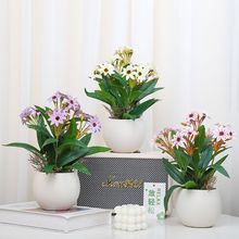 ͏dbٻ滨[߼pkҾmֲﻨ