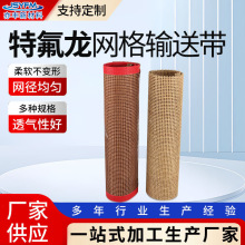 特氟龙网格输送带烘干机传送带PTFE铁氟龙传送带