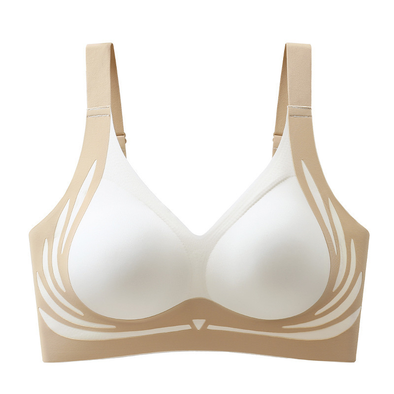 밀키 화이트 D