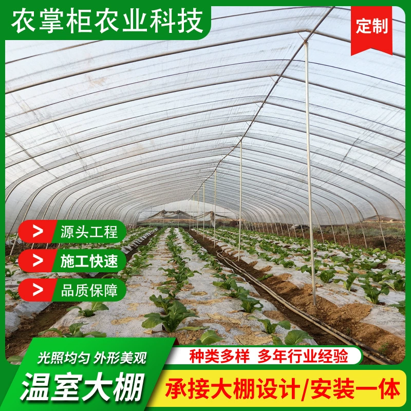 Производитель теплиц в Нанкине, теплицы для выращивания овощей, комплект стальных труб для теплиц, одиночная теплица в Цзянсу