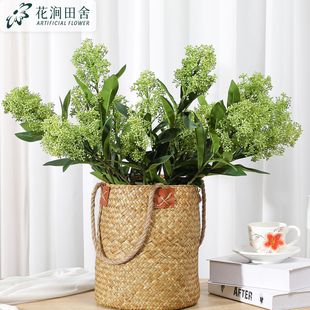 ���������  ��������Gֲ��c�����҃Ȕ[�Ż�ˇ�ٻ��Gֲ�b�