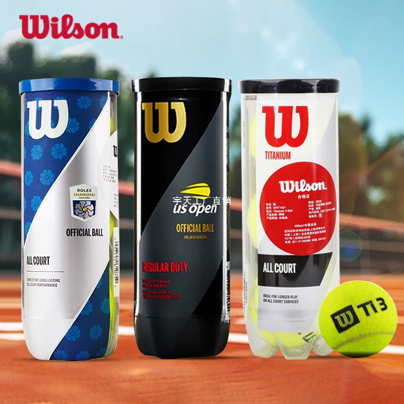 Wilson Tennis Pressurized Ball Shanghai Masters Us Open French Open Professional Training Game Ball Qiyutian