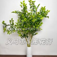 ����~������Gֲ��ˇƷֲ��@�ּҾ��b������Ř��쾰�߷���