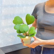 ~mһƬζֲk҃ȿ͏dGֲ