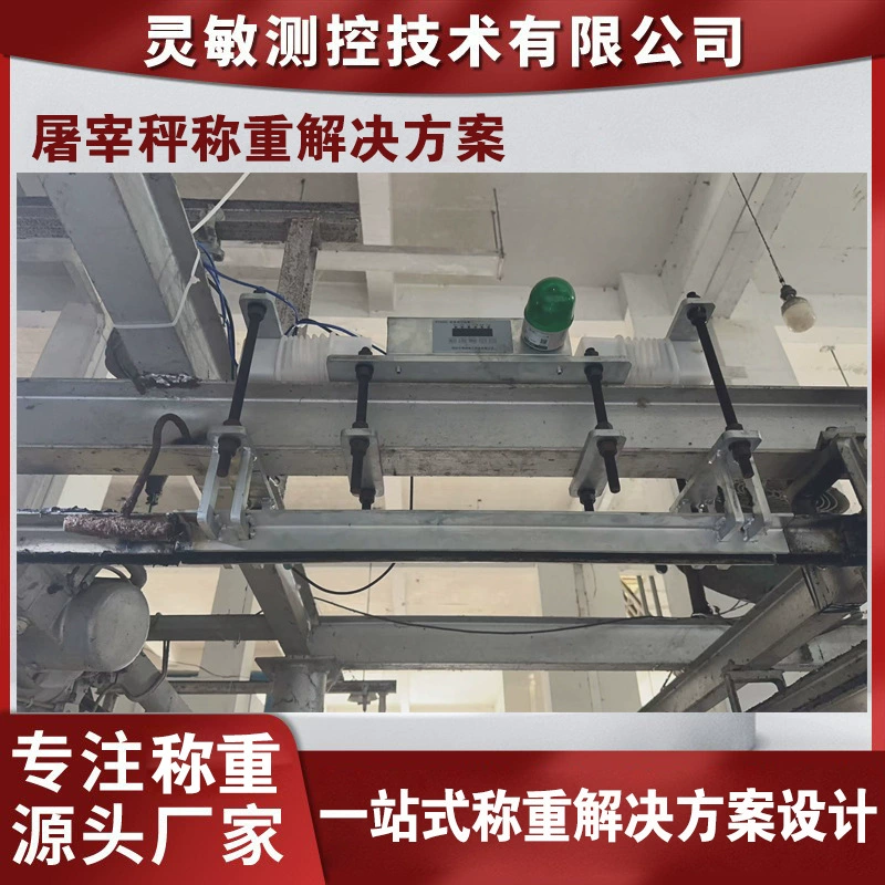 Решения для взвешивания рельсовых весов скотобойни