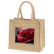 �S�����a���������S�鲼�����鲼ُ����ߙn�YƷ����b������ֹ�