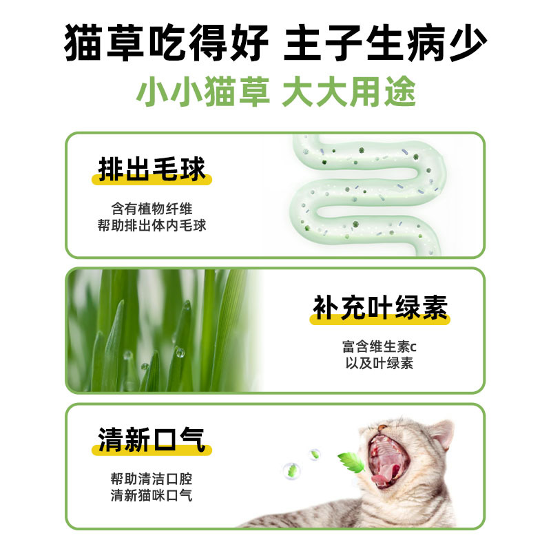 La hierba de gato perezosa enlatada hidroponía sin suelo bola de eliminación de pelo para ayudar a la digestión bocadillos espumosos fideos de hierba de gato en maceta para gatos artículos de mascotas