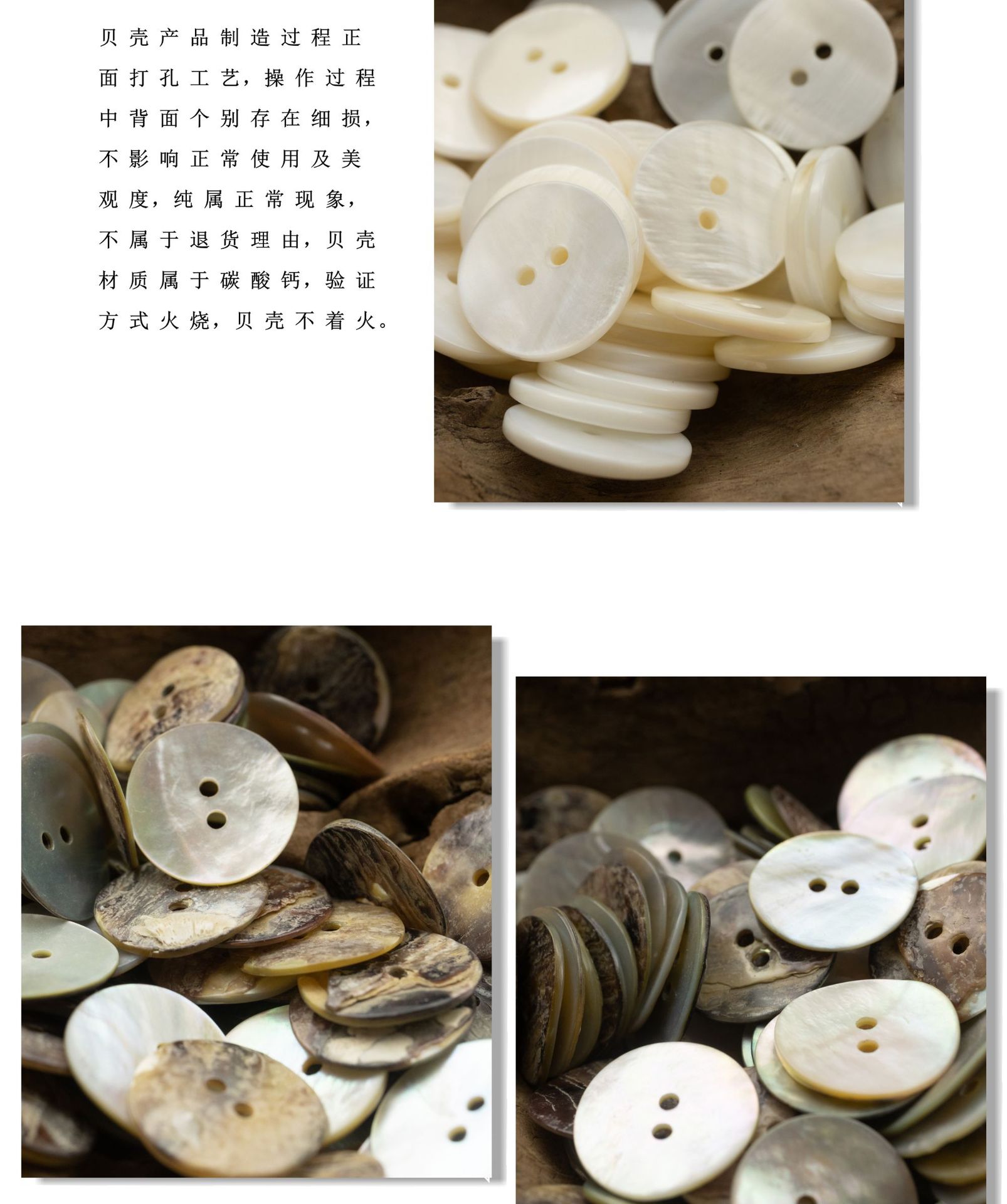 贝壳_04.jpg