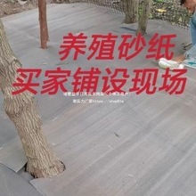 �Bֳɰ���B�Zɰ���fɰ��䁵��淿��피��������������Bֳɰ��