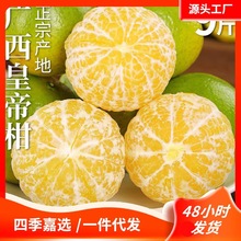 正宗广西皇帝柑新鲜桔子当季水果贡柑纯甜整箱水果