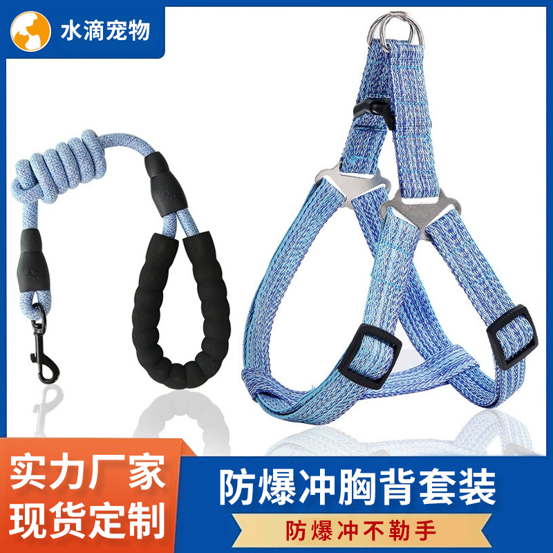 아마존 폭발 애완 동물 가슴과 등 가죽 끈 세트 조정 가능한 폭발 방지 개 가죽 끈 제조 업체 도매