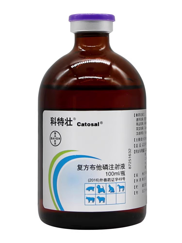 O1CN01Nj9EJi1hTNCECJULP_!!2850