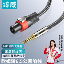 ��֧��DIY��6.5�D�Wķ�^���侀���о6.35�����Wķ�^���l����о