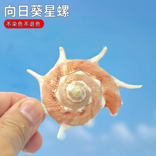 ��Ȼؐ�����ݾ�ؐ�~�ľ�з��Q���~��ˮ���쾰ɺ��ϡ�����տ�����