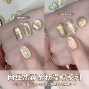 �W�t����؈�ۼ����z2026���¿�Wָ�����z��ⲣ�����������b