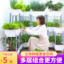 阳台栽菜盆种菜箱实用种菜专用架子室内种菜专用箱家里种植蔬菜用