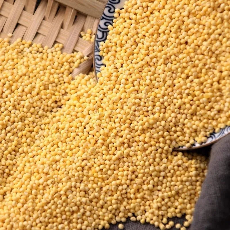 ��������������ز�ճŴ����ũ����������׷�����