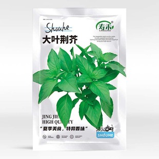 �G��˷N�Ѻ��ϴ��~�G���N�Ӳ����ļ��ļ������G���G���߲�������