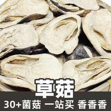 草菇1kg食品级菌菇原料干散货straw mushroom