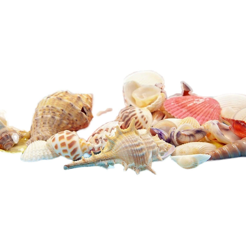 Organic creative toy handmade for kindergarten, aquarium, materials set